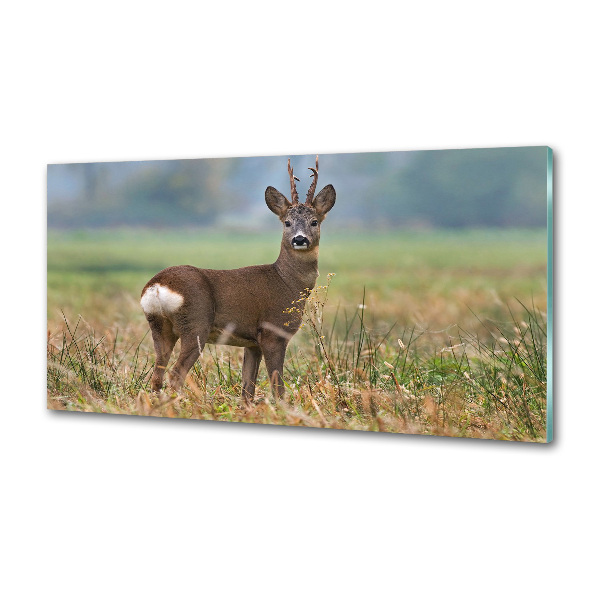 Spatplaat keuken Roe