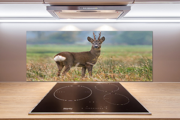 Spatplaat keuken Roe