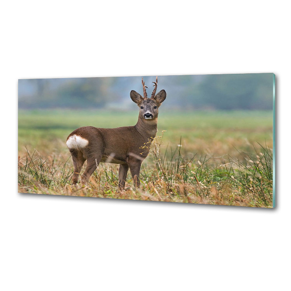 Spatplaat keuken Roe