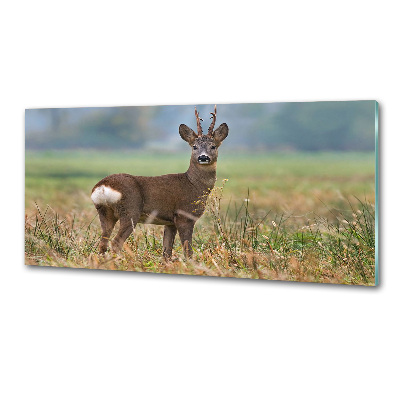 Spatplaat keuken Roe