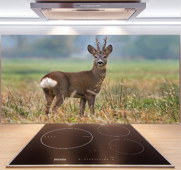 Spatplaat keuken Roe