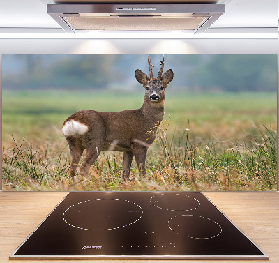 Spatplaat keuken Roe