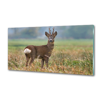 Spatplaat keuken Roe