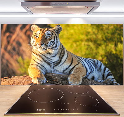 Keuken achterwand Portret van een tijger