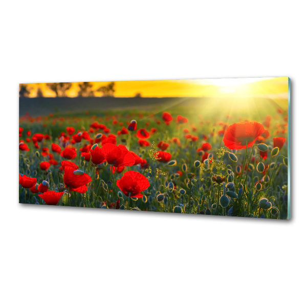 Spatplaat keuken Klaprozenveld