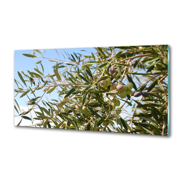 Spatscherm keuken Olijfboom