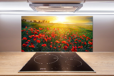 Spatscherm keuken Klaprozenveld