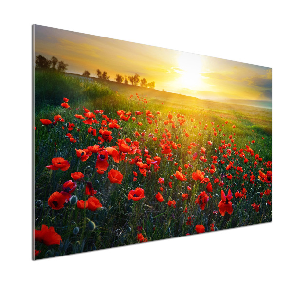 Spatscherm keuken Klaprozenveld