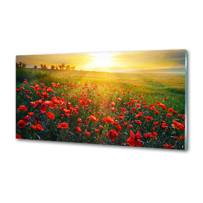 Spatscherm keuken Klaprozenveld