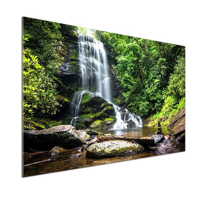 Spatplaat keuken Waterval in het bos
