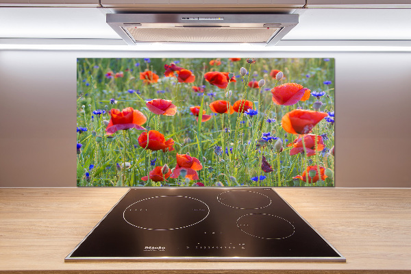 Glazen achterwand keuken Wilde bloemen