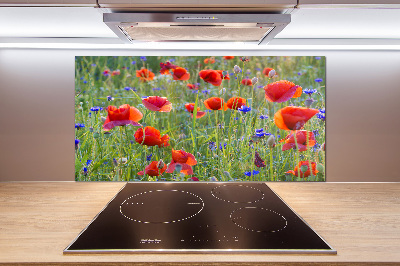 Glazen achterwand keuken Wilde bloemen