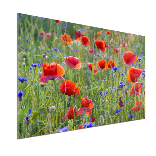 Glazen achterwand keuken Wilde bloemen