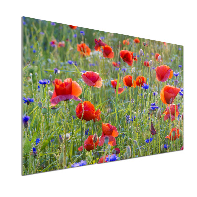 Glazen achterwand keuken Wilde bloemen
