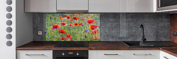 Glazen achterwand keuken Wilde bloemen