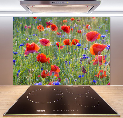 Glazen achterwand keuken Wilde bloemen