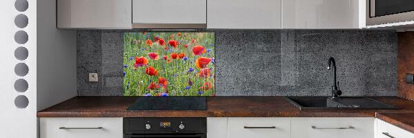 Glazen achterwand keuken Wilde bloemen
