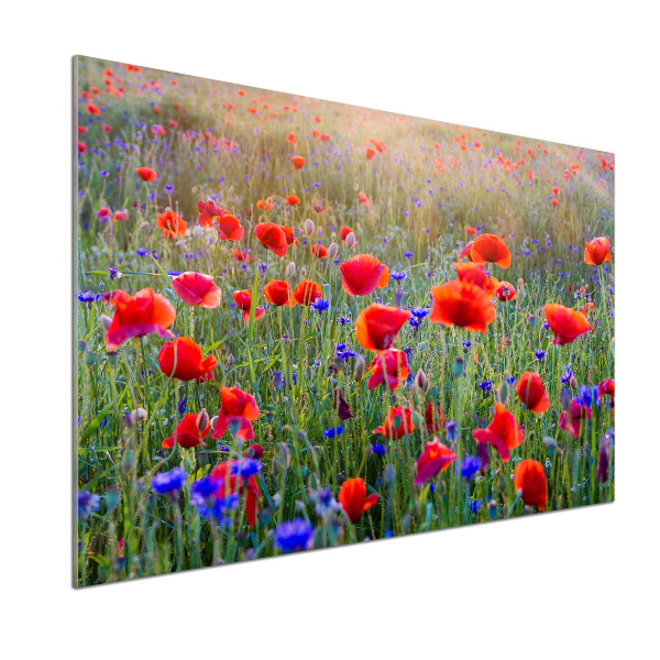Achterwand keuken Wilde bloemen