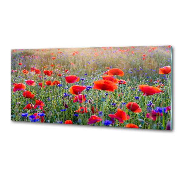 Achterwand keuken Wilde bloemen