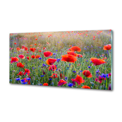 Achterwand keuken Wilde bloemen
