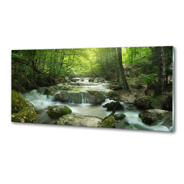 Glazen achterwand keuken Waterval in het bos