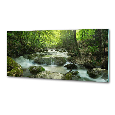 Glazen achterwand keuken Waterval in het bos