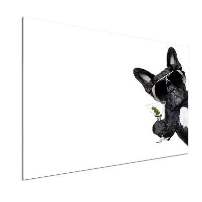 Spatplaat keuken Martini Dog