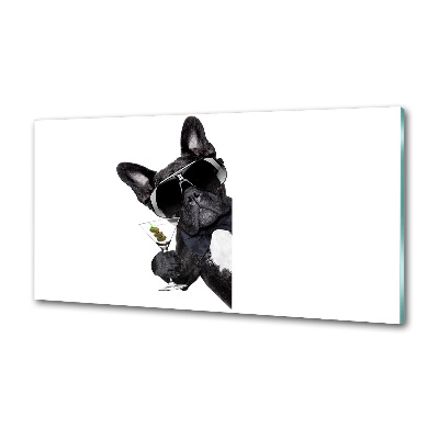 Spatplaat keuken Martini Dog