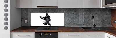 Spatplaat keuken Martini Dog