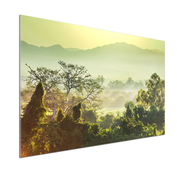 Spatplaat keuken jungle