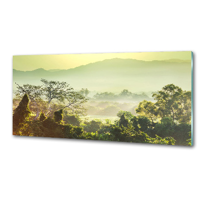 Spatplaat keuken jungle