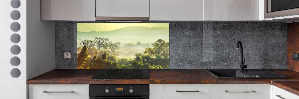 Spatplaat keuken jungle