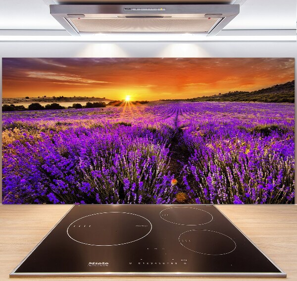 Glazen achterwand keuken Lavendelveld
