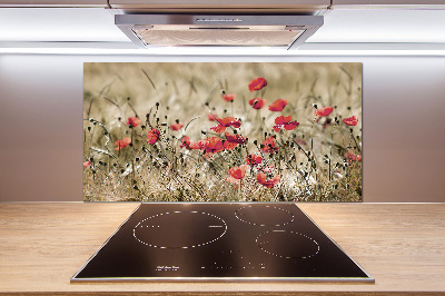 Spatplaat keuken Klaprozen