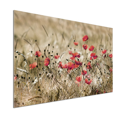 Spatplaat keuken Klaprozen