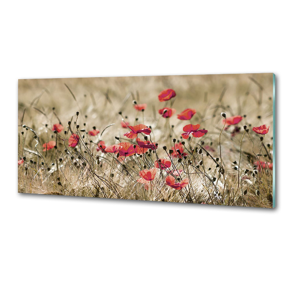 Spatplaat keuken Klaprozen