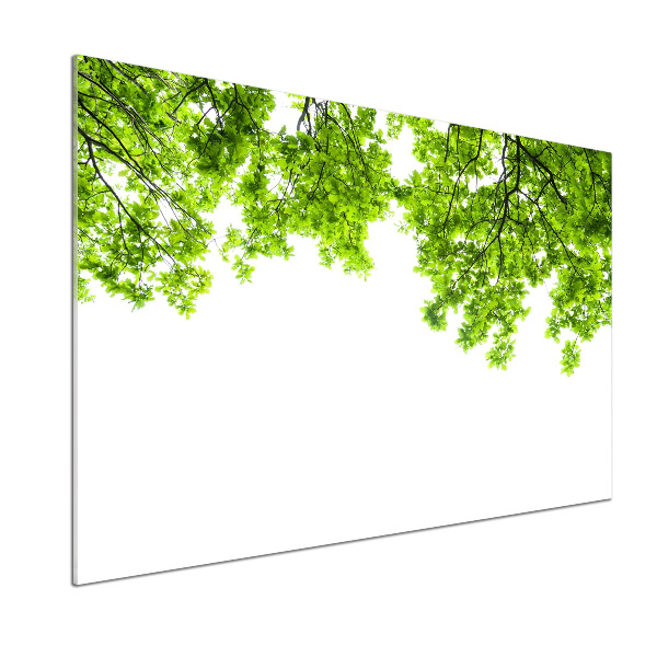 Glazen achterwand keuken Eikenbladeren