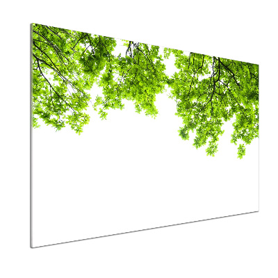 Glazen achterwand keuken Eikenbladeren