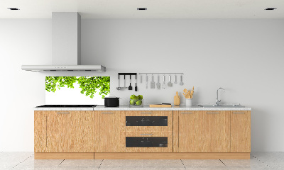 Glazen achterwand keuken Eikenbladeren