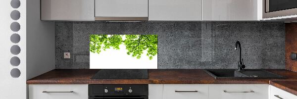 Glazen achterwand keuken Eikenbladeren