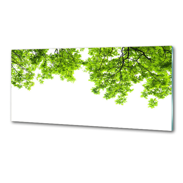 Glazen achterwand keuken Eikenbladeren