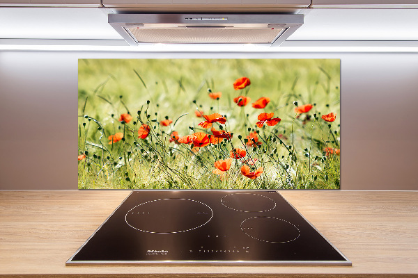 Achterwand keuken Klaprozen