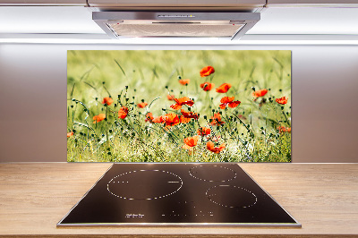 Achterwand keuken Klaprozen