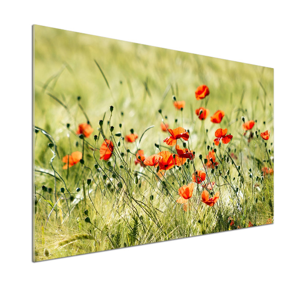 Achterwand keuken Klaprozen