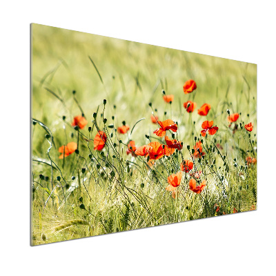 Achterwand keuken Klaprozen