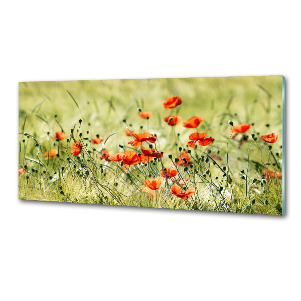 Achterwand keuken Klaprozen