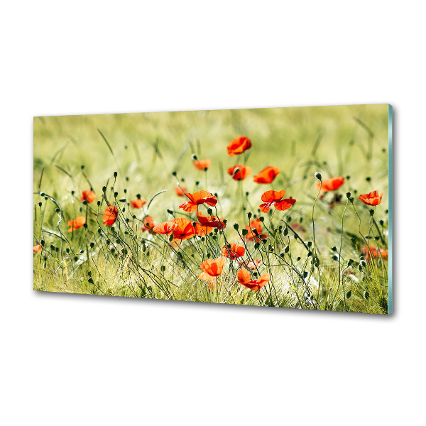 Achterwand keuken Klaprozen