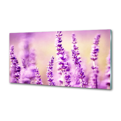 Spatscherm keuken Lavendel