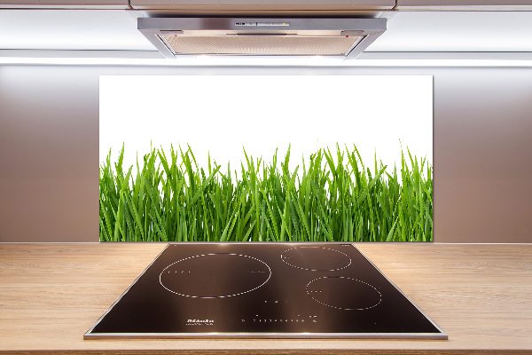 Spatplaat keuken Gras