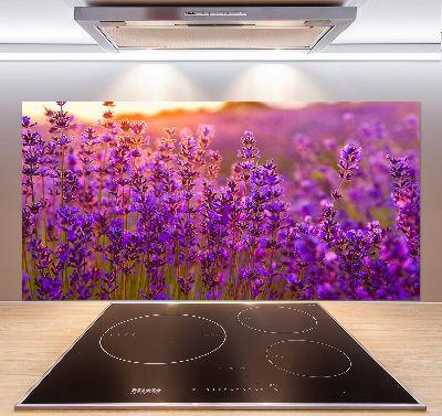 Keuken achterwand Lavendelveld